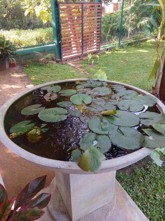 Waterway Garden Villa โปลอนนารูวา ภายนอก รูปภาพ